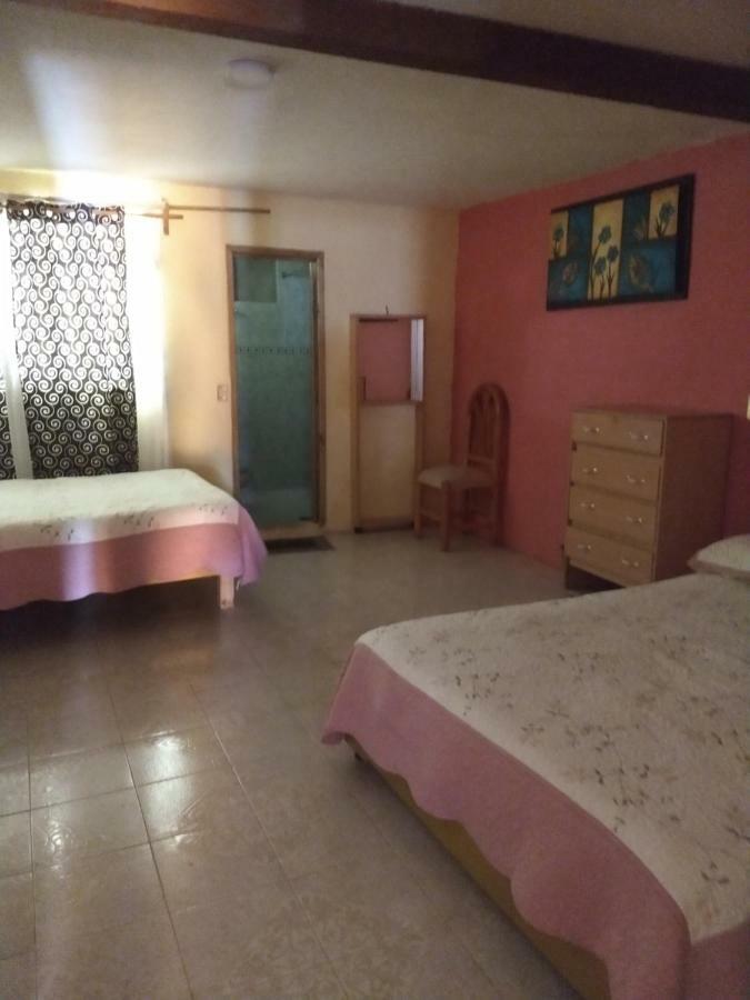 El Paraiso De Zacatlan Departamento Con Jardin, 11 Pax Екстериор снимка